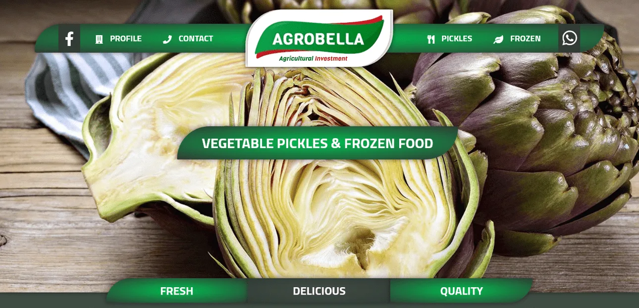تصميم موقع مخللات Pickles 🌶 تصميم موقع أغذية مجمدة Frozen Food 🥦 تصميم موقع خرشوف Artichokes ☘️