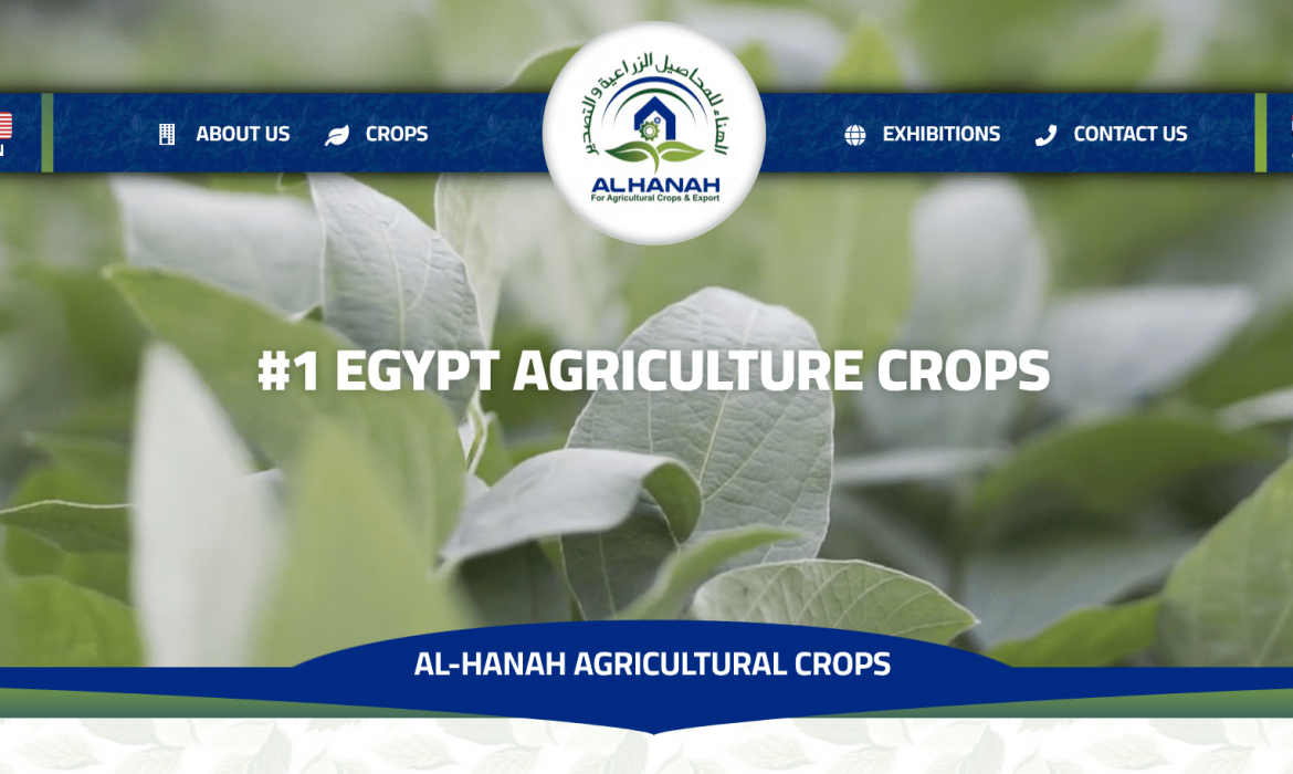 Agricultural Crops website design 🌿 Agricultural website design 🍋 Website design in Egypt 🇾🇪