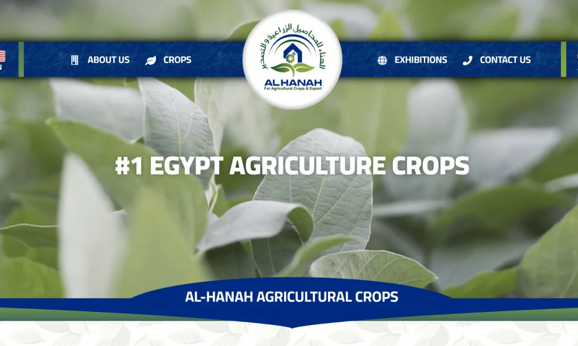 Agricultural Crops website design 🌿 Agricultural website design 🍋 Website design in Egypt 🇾🇪