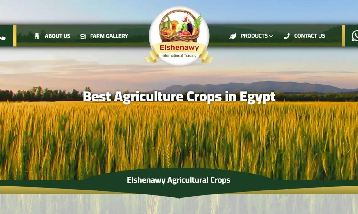Designing a website for agricultural crops 🍊 Designing a website for vegetables and fruits 🌿 Designing a website for spices and seasonings