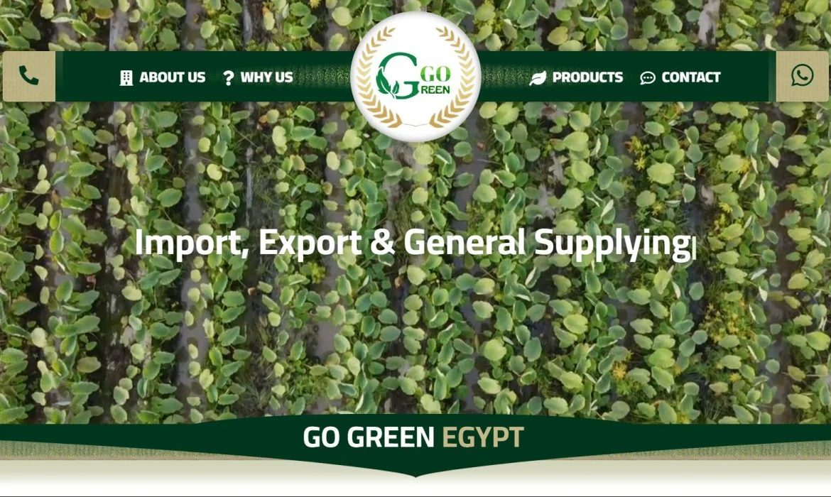 Fruit and vegetables website design 🥭 Pickles website design 🥫 Website design in Alexandria, Egypt