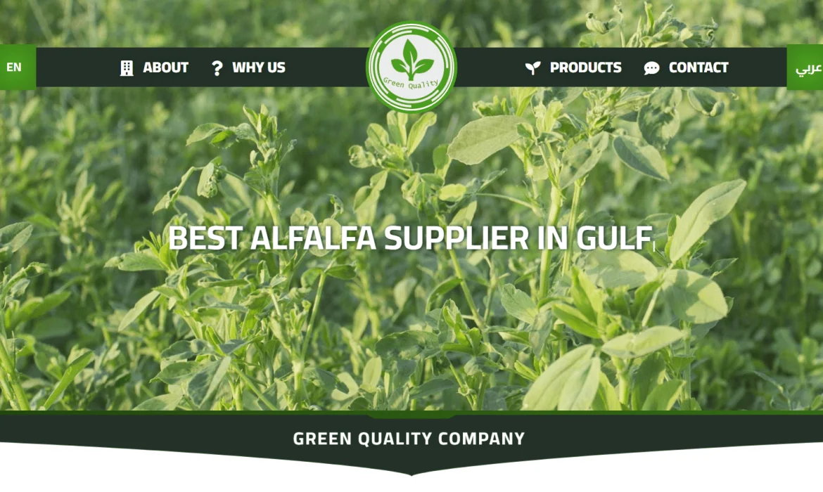 Feed website design🌱 Alfalfa alfalfa website design ☘️ Design of a website for exporting alfalfa bales and hay for livestock HAY 🐄