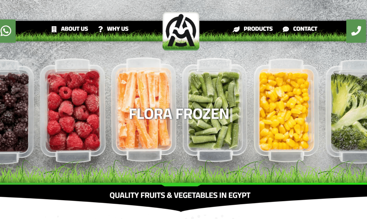 Fruits & Vegetables website design 🍓 Web Design in Behera, Egypt