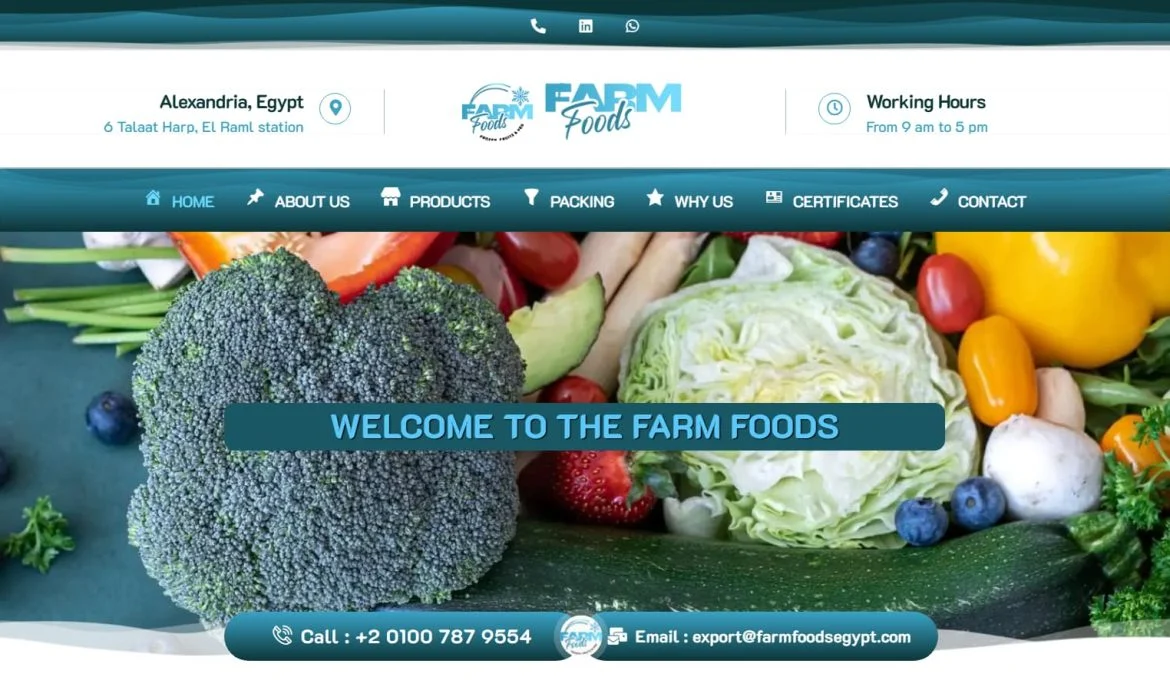 Design of a Frozen Fruits & Vegetables Website 🍓 Frozen Food Web Design